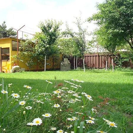 Guest house Pensiunea Casa Soarelui 3*