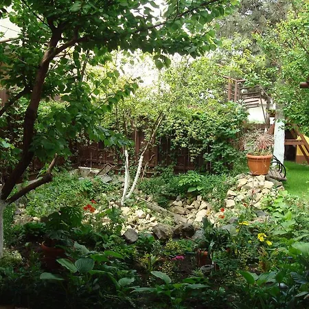 Pensiunea Casa Soarelui