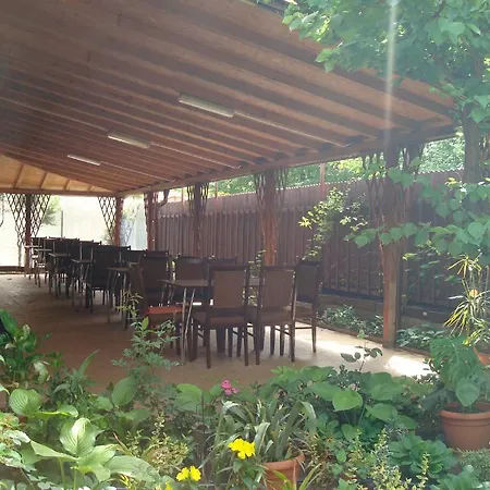 Guest house Pensiunea Casa Soarelui